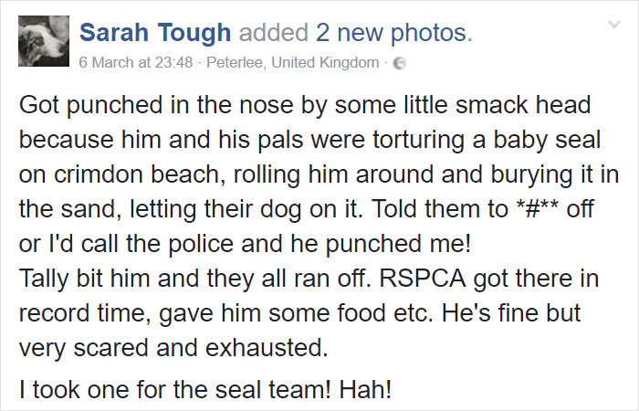 Woman Confronts Teenagers Torturing A Baby Seal, Gets Punched In The Face Woman Confronts Teenagers Torturing A Baby Seal, Gets Punched In The Face