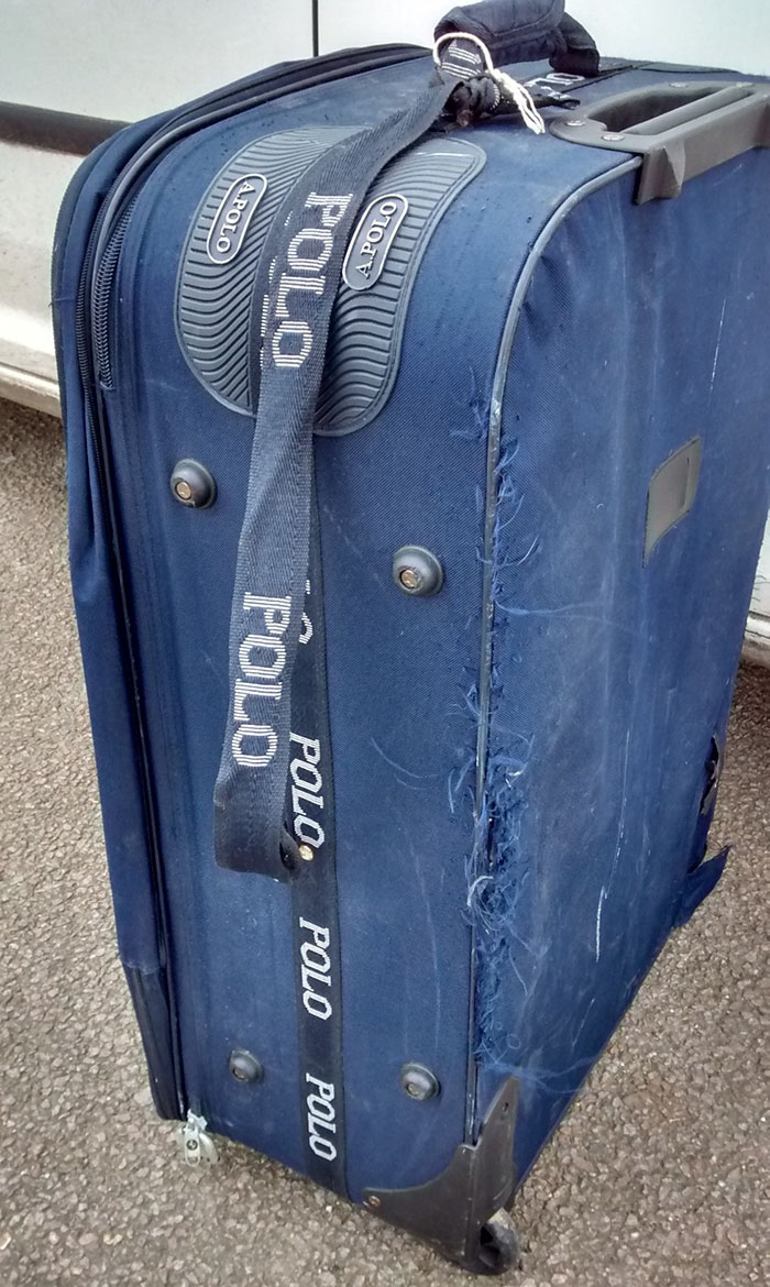 Woman Finds Old Suitcase On Train Tracks, Opens It And Discovers The Most Pawesome Thing Ever Woman Finds Old Suitcase On Train Tracks, Opens It And Discovers The Most Pawesome Thing Ever