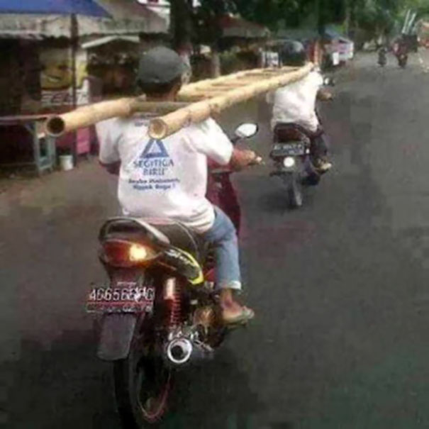 Men carrying large bamboo poles on motorbikes, illustrating risky behavior often cited in discussions on longevity differences.