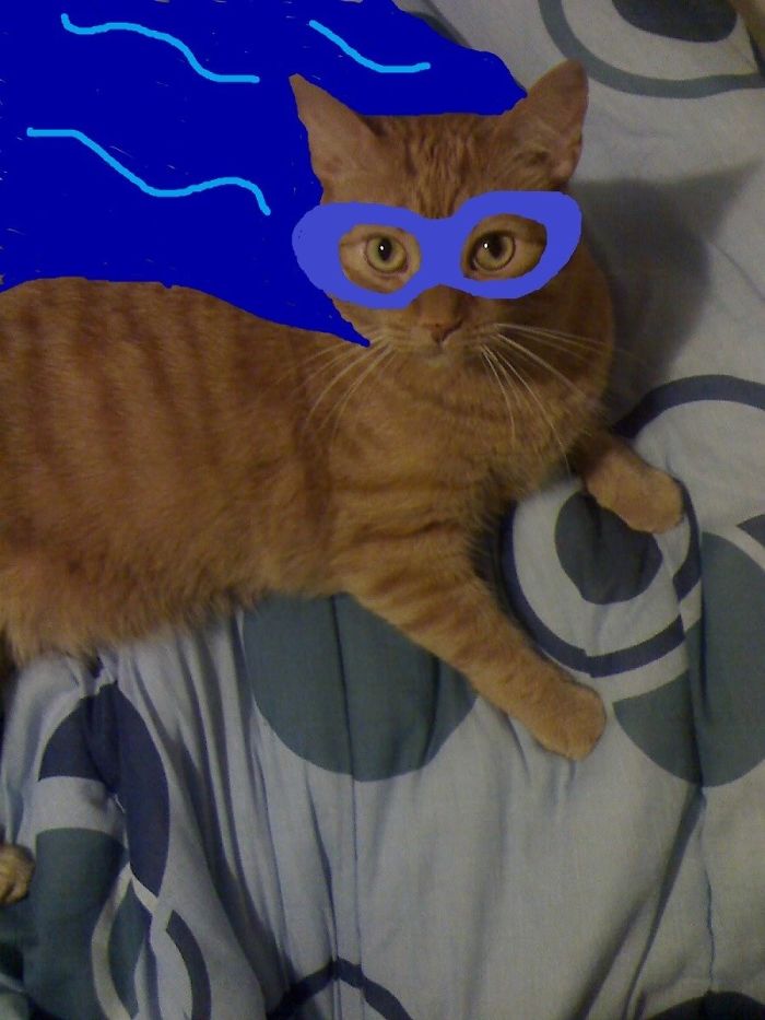 The Marmalade Marauder!