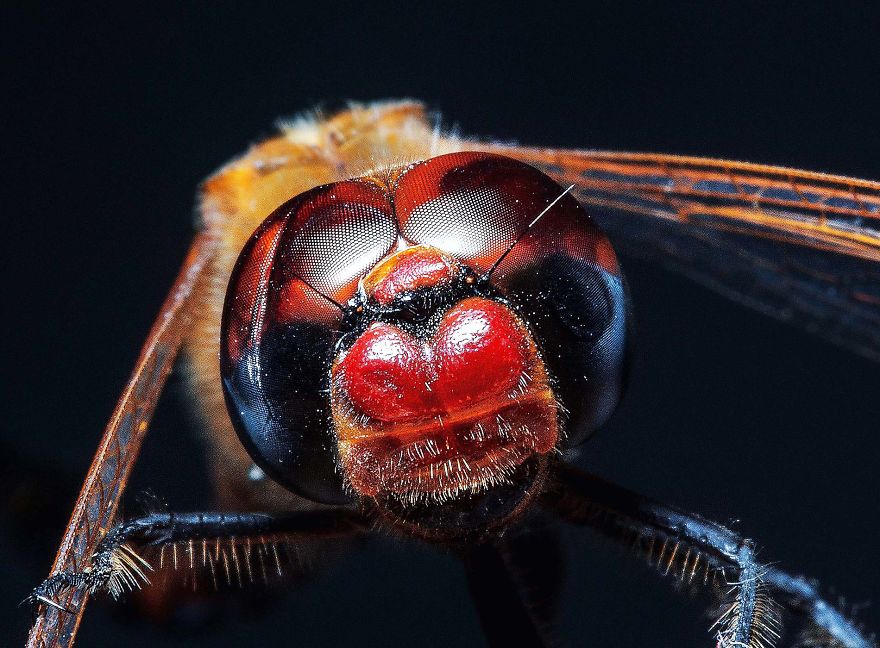 Inspiring Story And Amazing Photos Of A 17-Year-Old Photographer Inspiring Story And Amazing Photos Of A 17-Year-Old Photographer