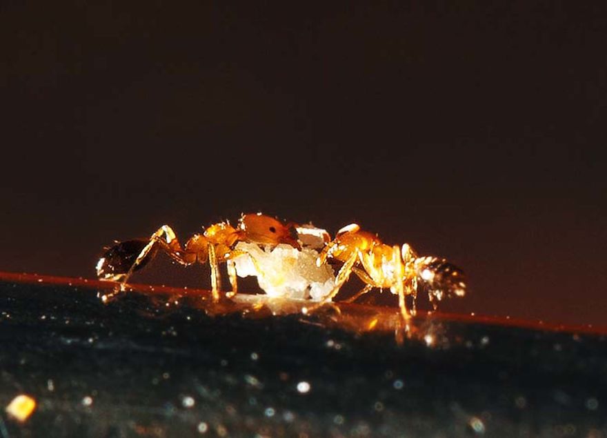 Inspiring Story And Amazing Photos Of A 17-Year-Old Photographer