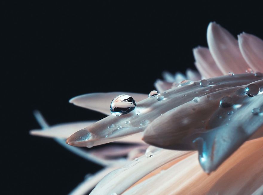 Inspiring Story And Amazing Photos Of A 17-Year-Old Photographer Inspiring Story And Amazing Photos Of A 17-Year-Old Photographer