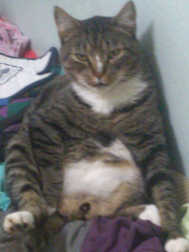 I Definitely Walked In On Something!