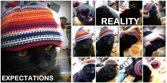 I Thought He Will Look Cute With A Hat. He Was't Excited.