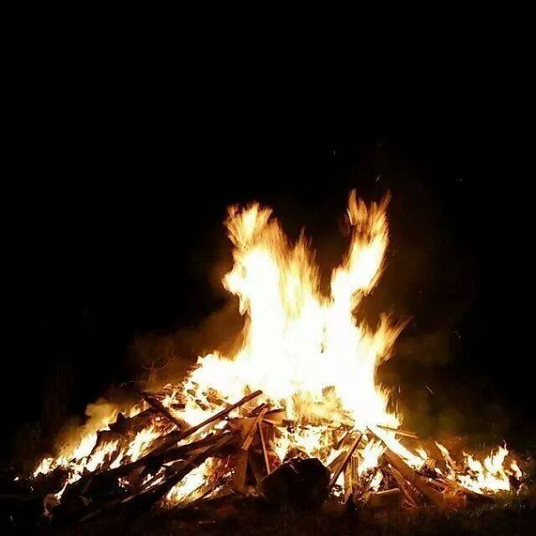 That Time We Captured Pegasus!