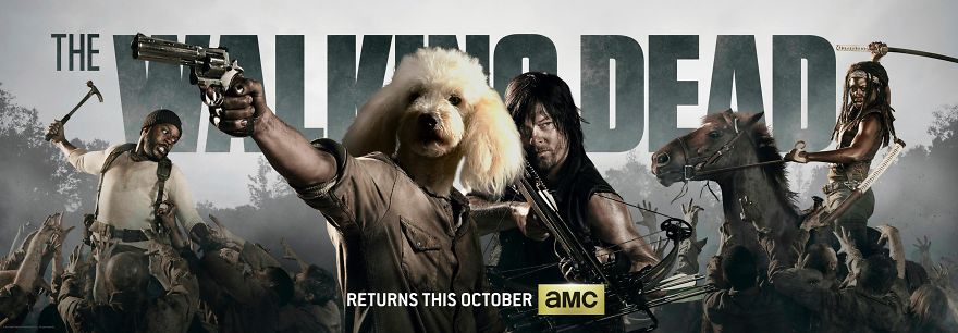 I Make My Lost Dog The Hero Of My Favorite Shows And Movies I Make My Lost Dog The Hero Of My Favorite Shows And Movies