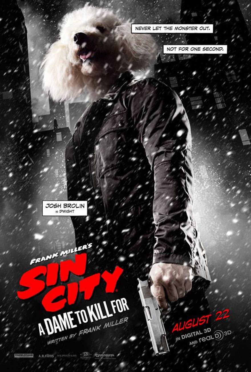 I Make My Lost Dog The Hero Of My Favorite Shows And Movies I Make My Lost Dog The Hero Of My Favorite Shows And Movies