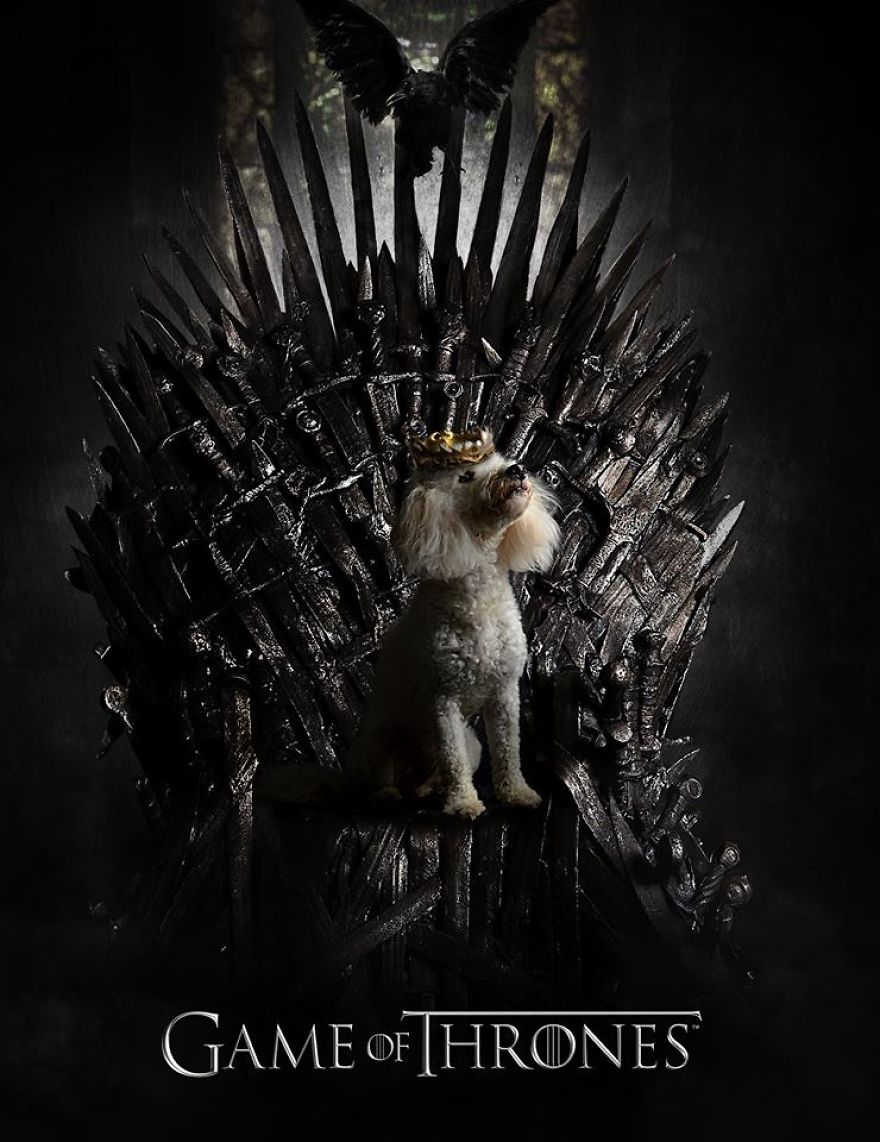 I Make My Lost Dog The Hero Of My Favorite Shows And Movies I Make My Lost Dog The Hero Of My Favorite Shows And Movies