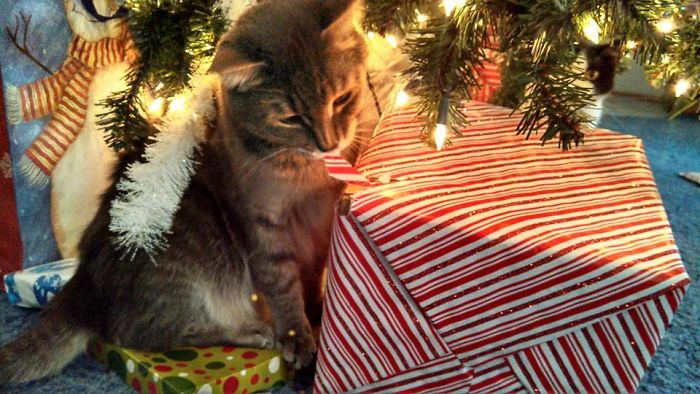 This One Better Be Mine.