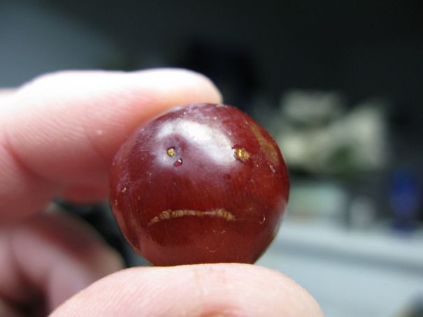 A Sour Grape...
