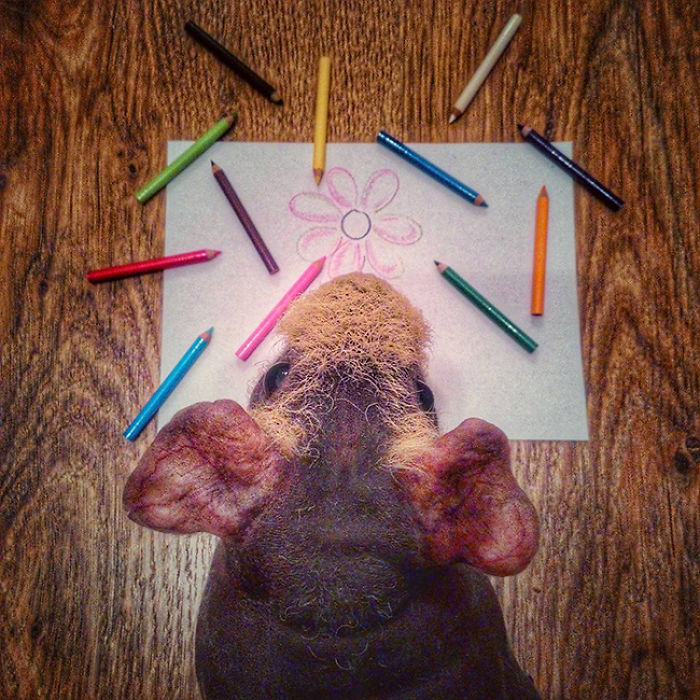 I Photographed A Skinny Model Using My Mobile Phone Camera