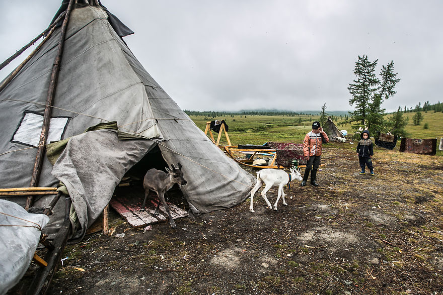 Diary Of The Arctic Diary Of The Arctic