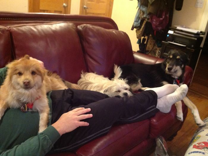 Saturday Afternoon Nap