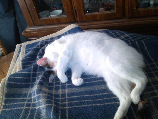 I'm Not Waking Up Until The Coffee Is Done