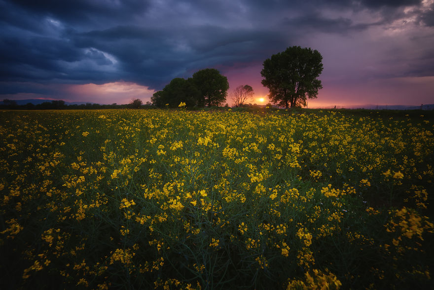 The Most Beautiful Pictures I've Taken In Bulgaria.