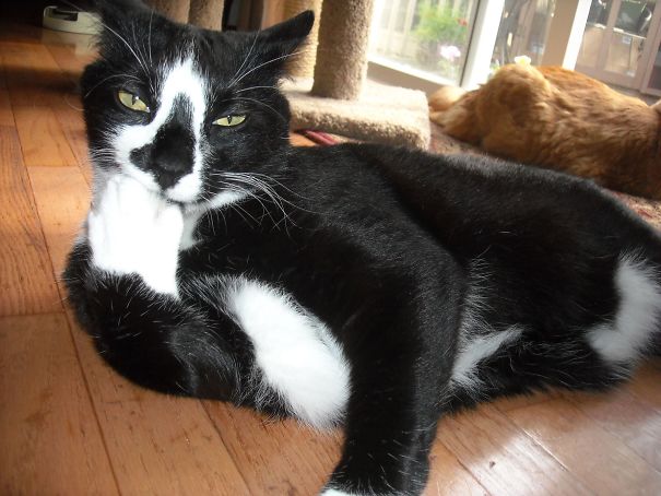 And What Is Your Question?