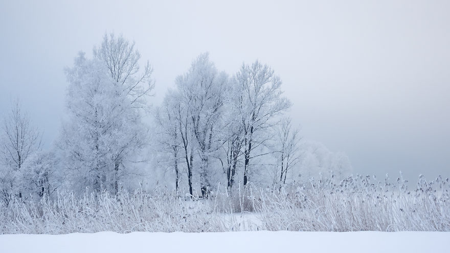 Why You Should Visit Bavaria In January - An Enchanting Winter Landscape Why You Should Visit Bavaria In January - An Enchanting Winter Landscape