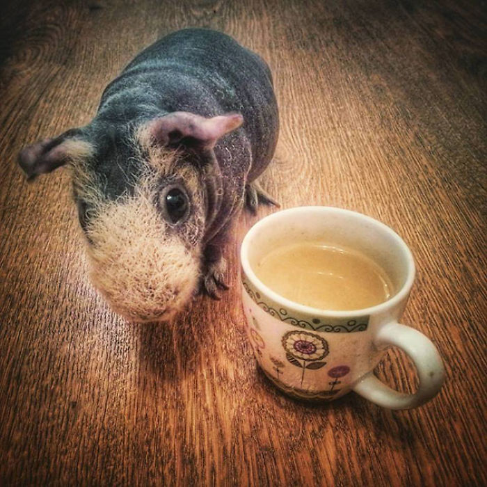 I Photographed A Skinny Model Using My Mobile Phone Camera