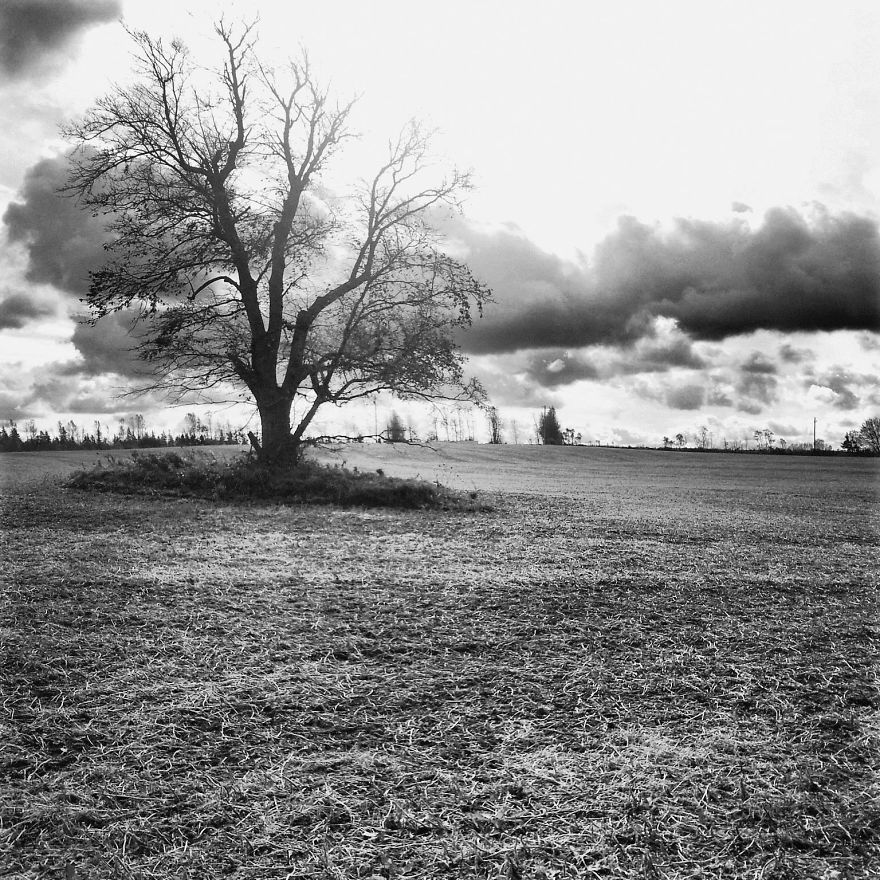 I Practice Dharma Art With Black And White Snapshots