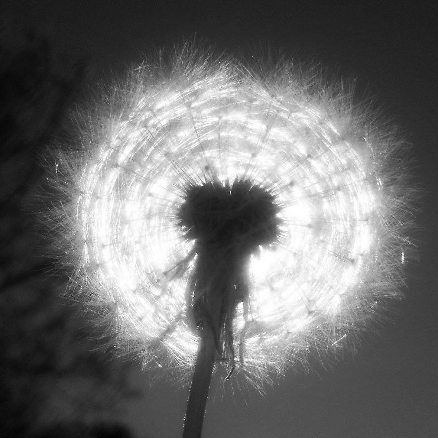 I Practice Dharma Art With Black And White Snapshots