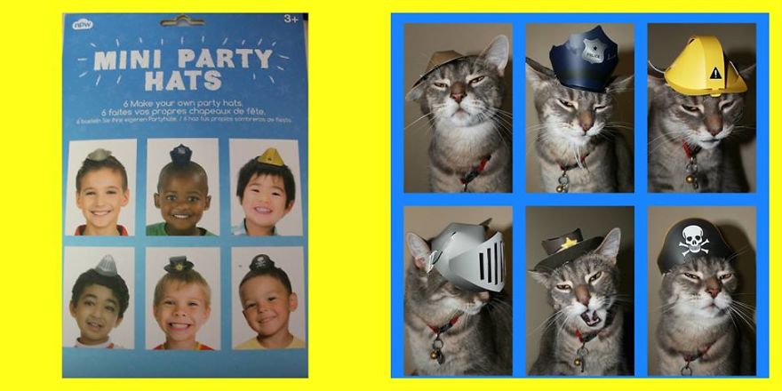 This Cat Enjoys Dressing Up! This Cat Enjoys Dressing Up!