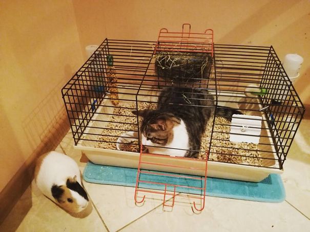 What Do You Mean, You Live Here?