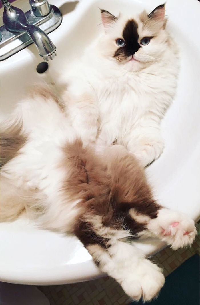 Ex-squeeze Me, But I Was About To Take A Bath. Can You Come Back Later? 🛀🏼 🍾