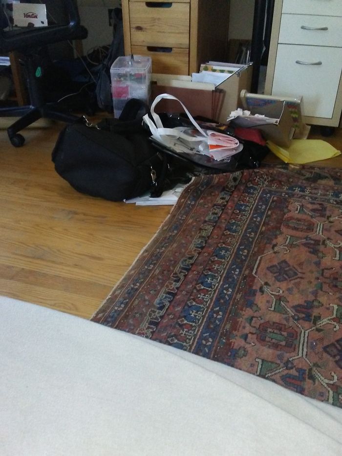 Ok Kate Lemme Get This Straight. You Chew Up My Hair Ties, Eat My Rainbowloon Bands And Now This!