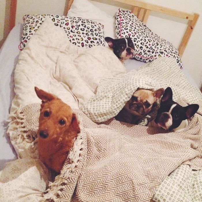 Where Are You Guys Going To Sleep Tonight?