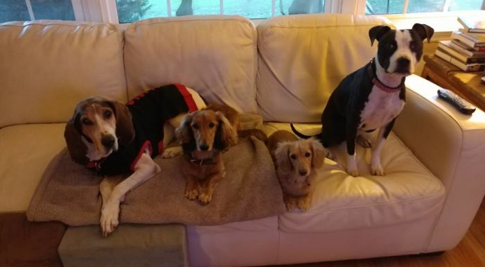 Mom, Mom, Hey Mommmmmm!!!! We're Waiting For You.