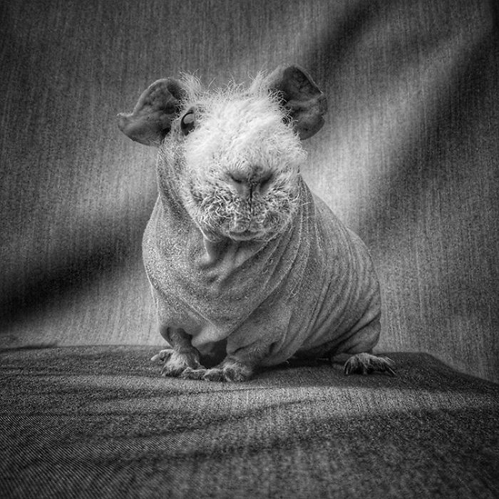 I Photographed A Skinny Model Using My Mobile Phone Camera