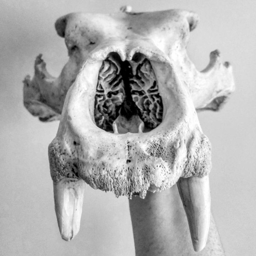 I Practice Dharma Art With Black And White Snapshots