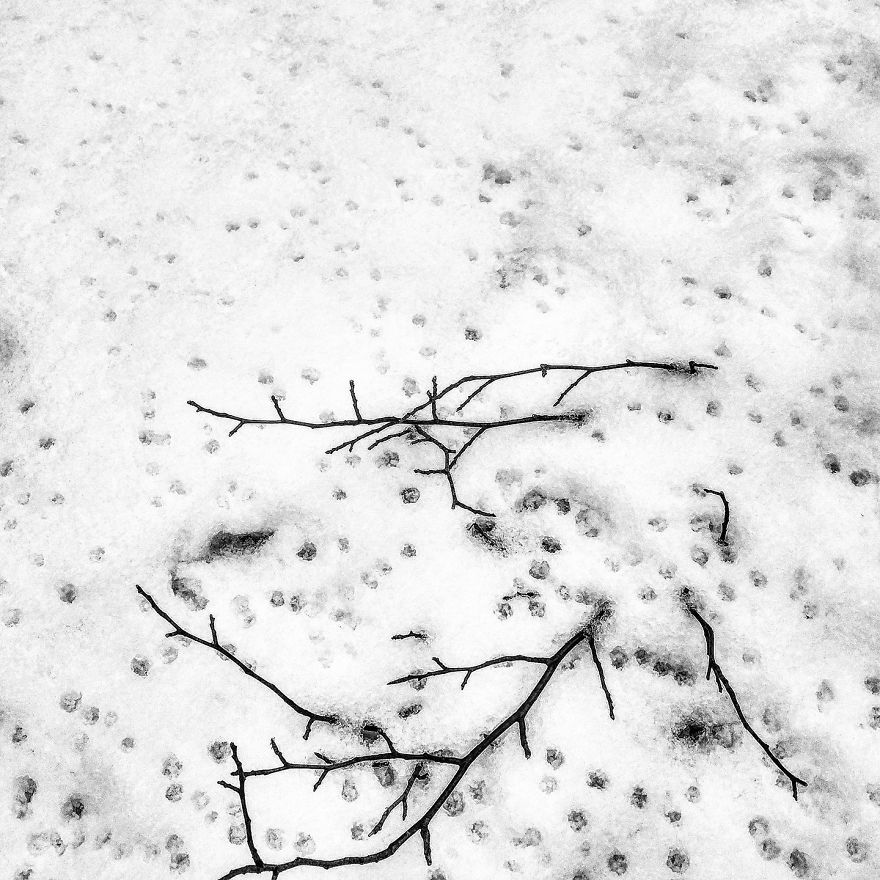 I Practice Dharma Art With Black And White Snapshots