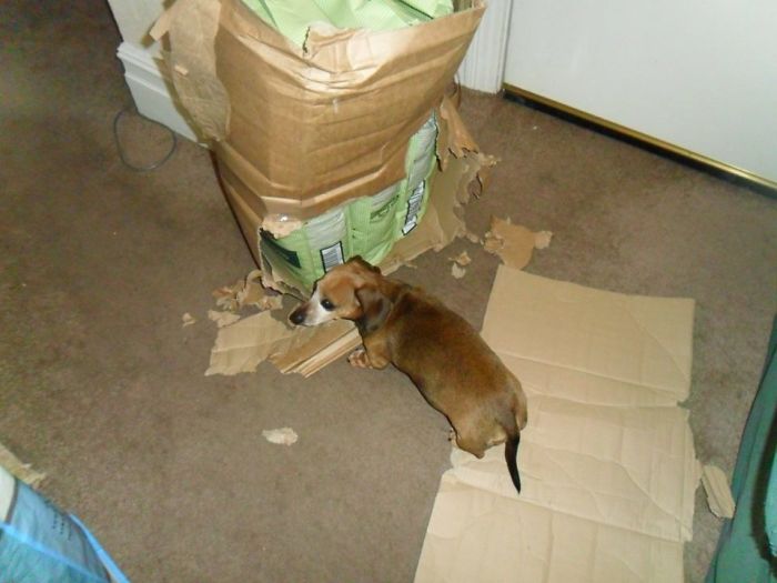 I'm Clearly Starving...............