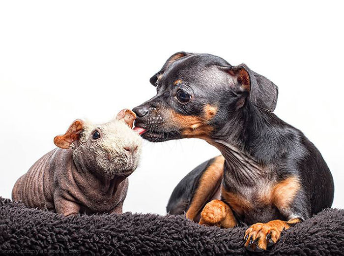 I Photographed A Skinny Model Using My Mobile Phone Camera