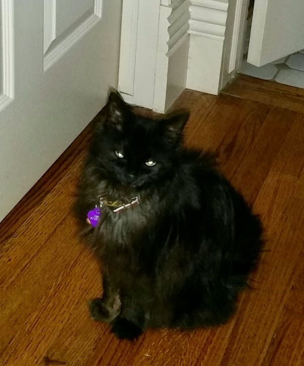 The Door. It's Closed. Again!