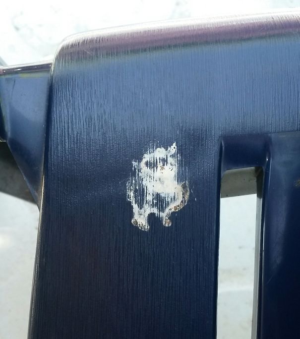 Bird Poop That Looks Like An Owl