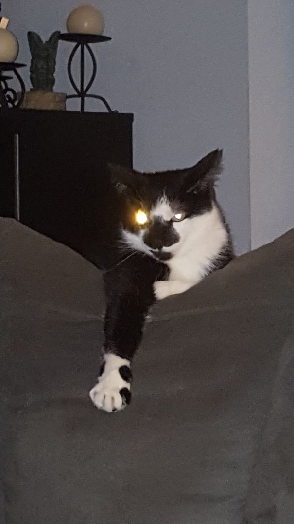 Do Not Test Me Mortal!