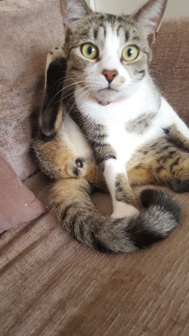 What?! You Not Seen A Widgey Before?!