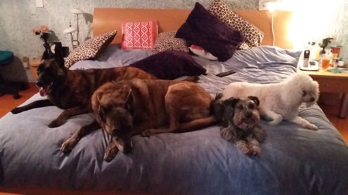 Fine, I Guess I'll Sleep On The Sofa