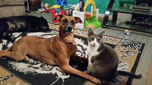 We Aren't Doing Anything Why Do You Ask?