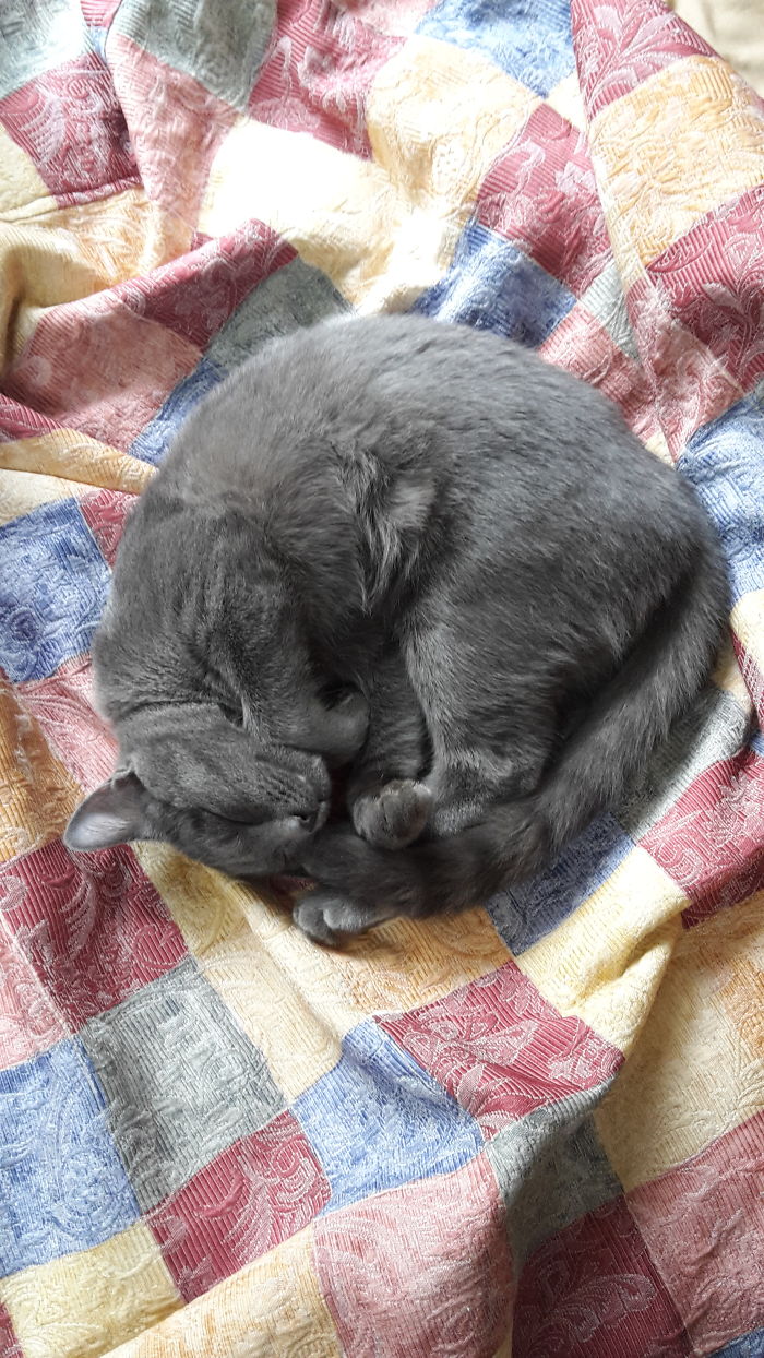 Soft Kitty, Warm Kitty, Little Ball Of Fur...