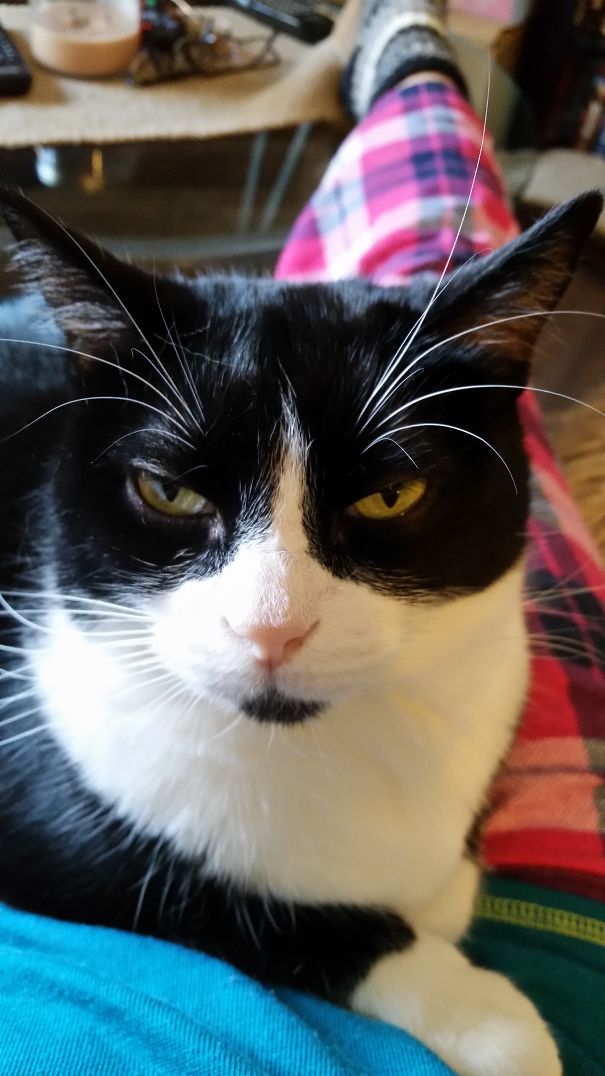 I Am The Batman! 🦇