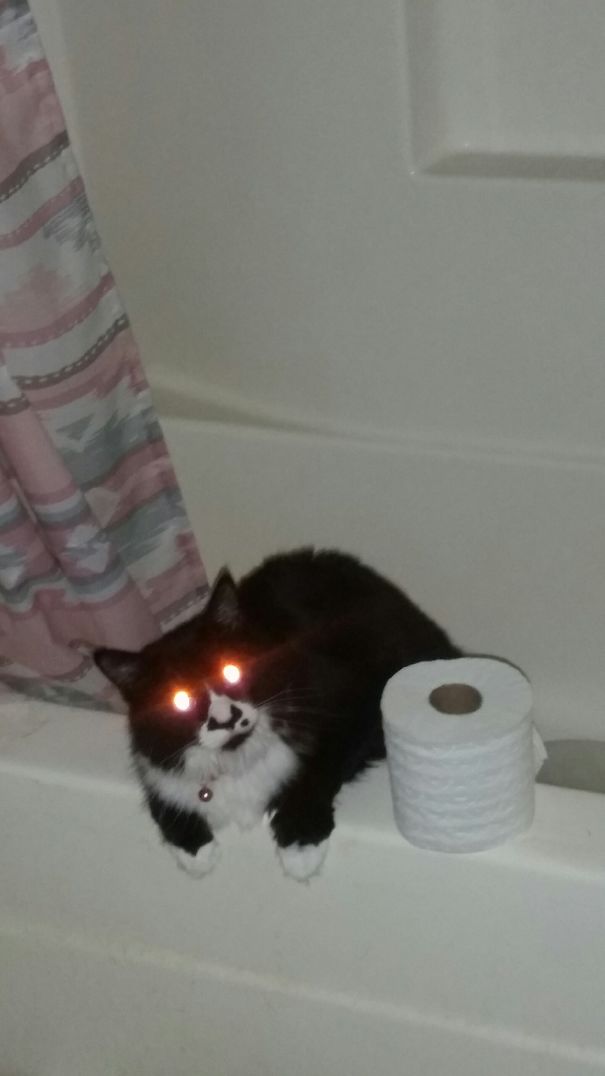 There Will Be No Bathing Here Tonight....