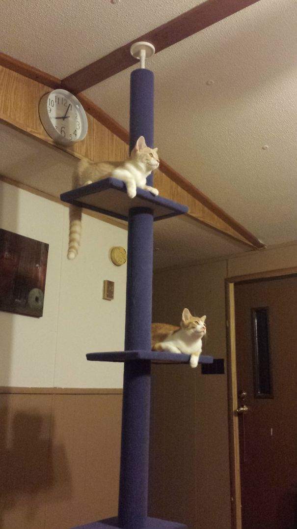 There Was A Bug On The Ceiling...