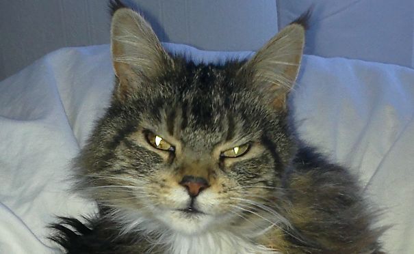 Nobody Said You Could Get Up Yet!