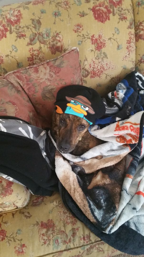 Chillin On A Rainy Day