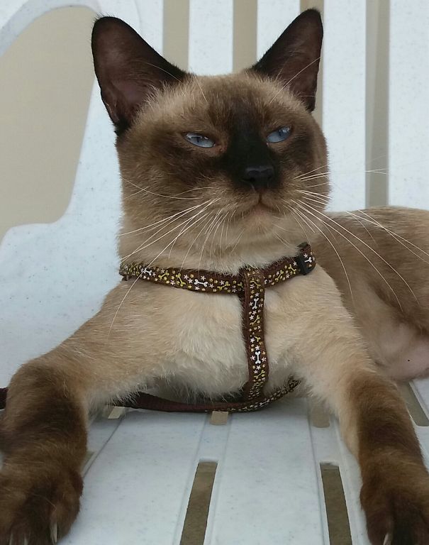 I Am The King And You All Bow Before Me..