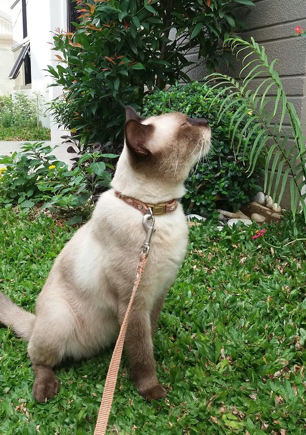 Nature Lover. Communing With Nature & Contemplating About Things..